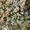 Lemon Blueberry, Фасовка: 5, изображение 3